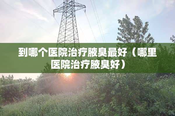 到哪个医院治疗腋臭最好（哪里医院治疗腋臭好）