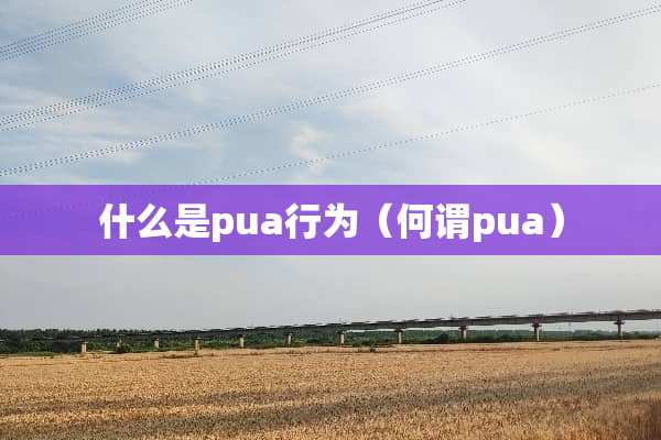 什么是pua行为（何谓pua）