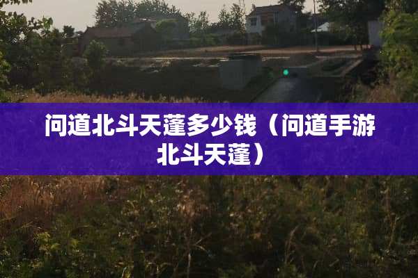 问道北斗天蓬多少钱（问道手游北斗天蓬）