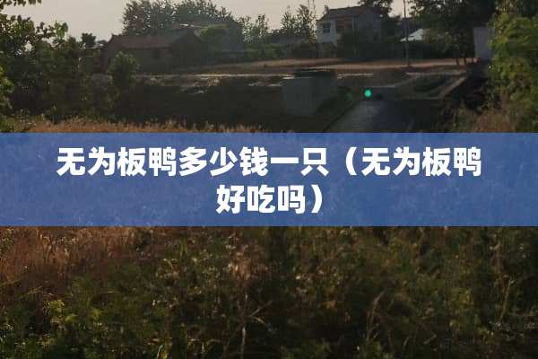 无为板鸭多少钱一只（无为板鸭好吃吗）