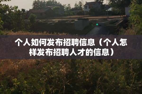 个人如何发布招聘信息（个人怎样发布招聘人才的信息）