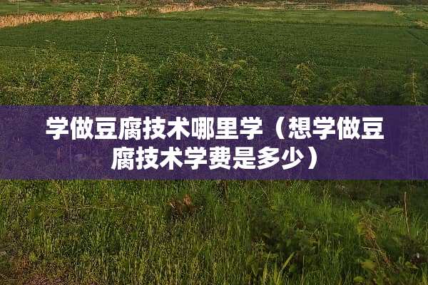 学做豆腐技术哪里学（想学做豆腐技术学费是多少）