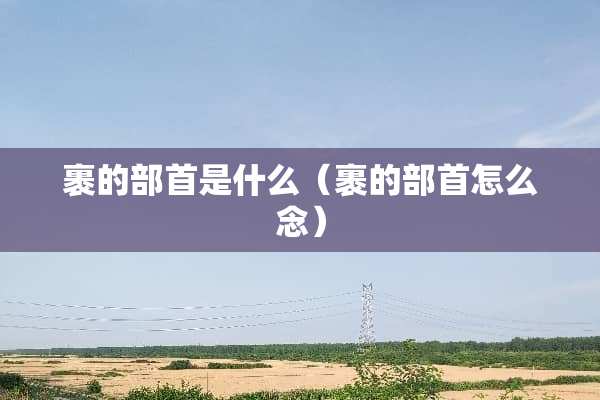 裹的部首是什么（裹的部首怎么念）