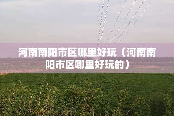 河南南阳市区哪里好玩（河南南阳市区哪里好玩的）