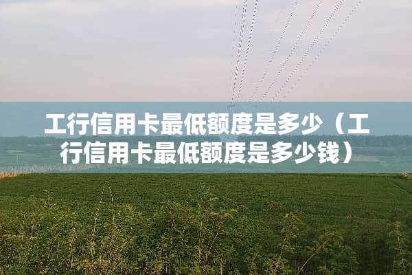 工行***最低额度是多少（工行***最低额度是多少钱）
