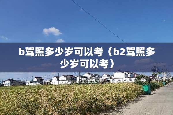 b驾照多少岁可以考（b2驾照多少岁可以考）