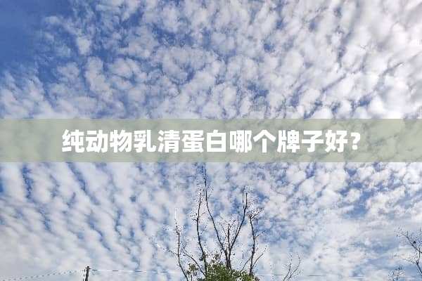 纯动物*清蛋白哪个牌子好？