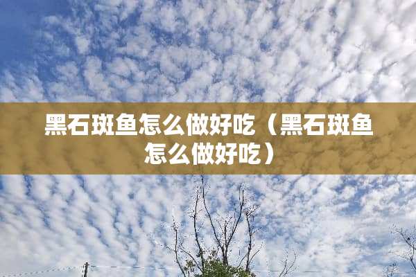 黑石斑鱼怎么做好吃（黑石斑鱼怎么做好吃）