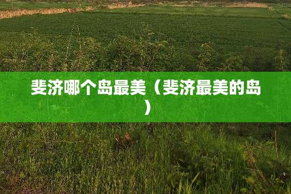 斐济哪个岛最美（斐济最美的岛）