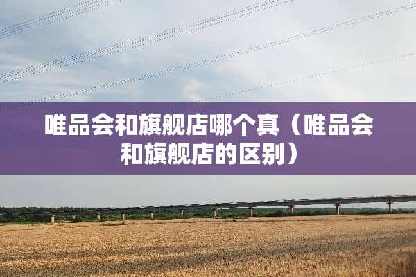 唯品会和旗舰店哪个真（唯品会和旗舰店的区别）