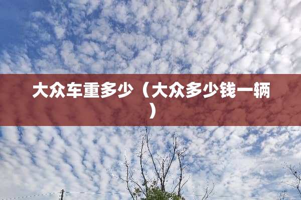 大众车重多少（大众多少钱一辆）