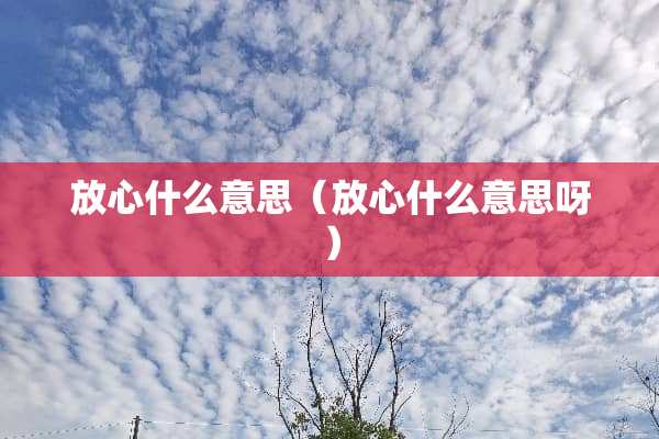 放心什么意思（放心什么意思呀）