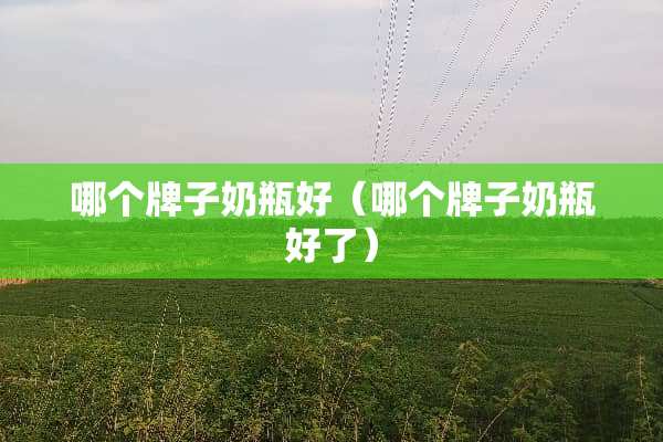 哪个牌子奶瓶好（哪个牌子奶瓶好了）