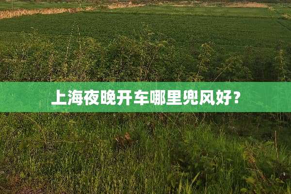 上海夜晚开车哪里兜风好？