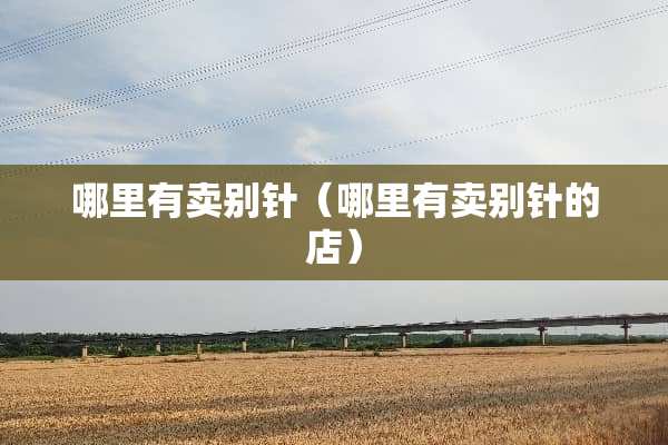 哪里有卖别针（哪里有卖别针的店）