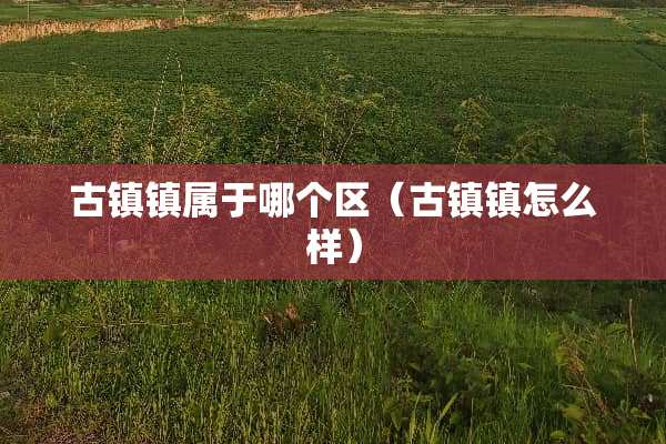 古镇镇属于哪个区（古镇镇怎么样）