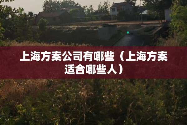 上海方案公司有哪些（上海方案适合哪些人）