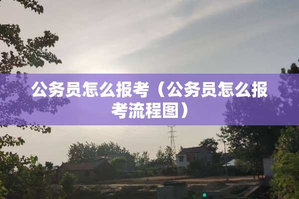 公务员怎么报考（公务员怎么报考流程图）