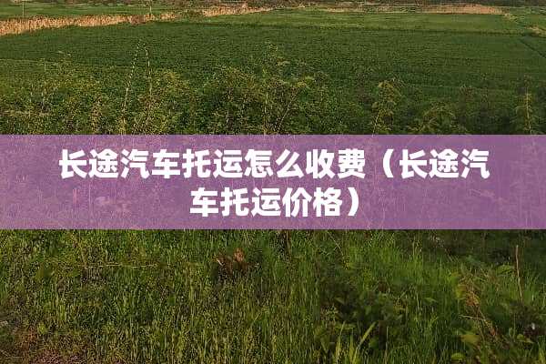 长途汽车托运怎么收费（长途汽车托运价格）
