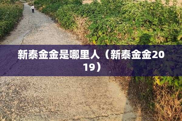 新泰金金是哪里人（新泰金金2019）
