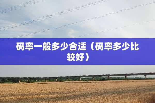 码率一般多少合适（码率多少比较好）