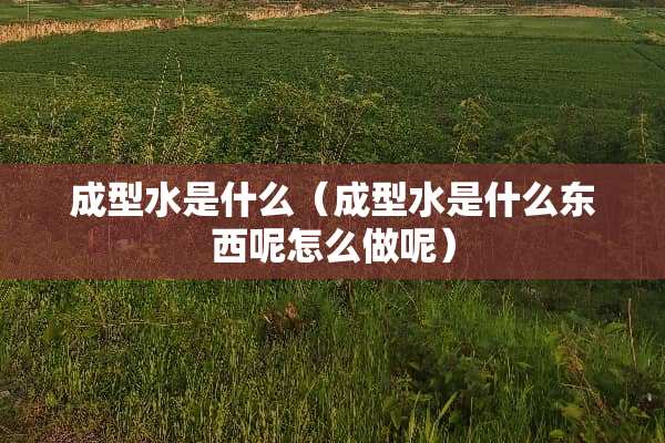 成型水是什么（成型水是什么东西呢怎么做呢）