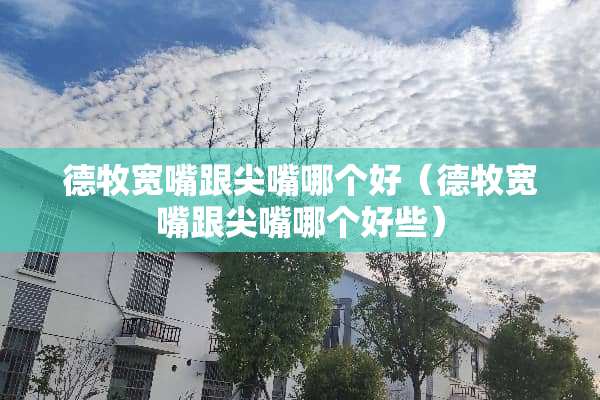 德牧宽嘴跟尖嘴哪个好（德牧宽嘴跟尖嘴哪个好些）