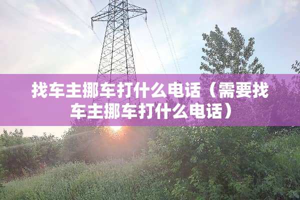 找车主挪车打什么电话（需要找车主挪车打什么电话）