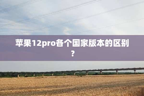 苹果12pro各个国家版本的区别？