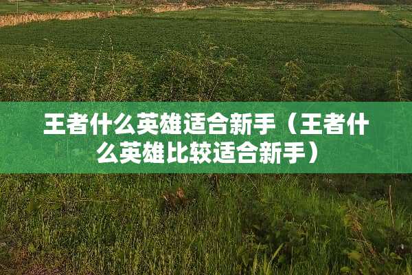 王者什么英雄适合新手（王者什么英雄比较适合新手）
