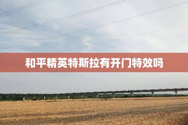 和平精英特斯拉有开门特效吗