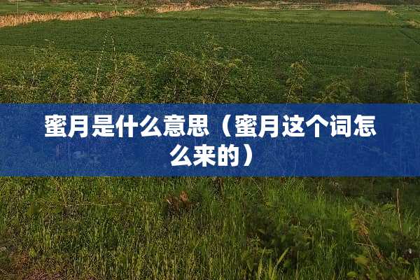 蜜月是什么意思（蜜月这个词怎么来的）