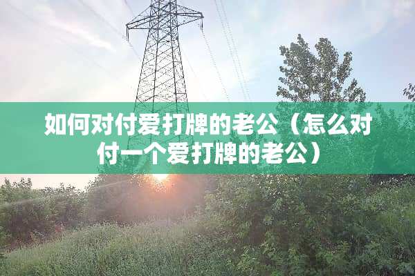 如何对付爱打牌的老公（怎么对付一个爱打牌的老公）
