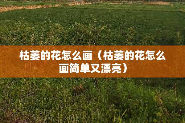 枯萎的花怎么画（枯萎的花怎么画简单又漂亮）