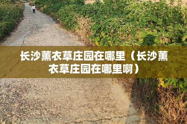长沙薰衣草庄园在哪里（长沙薰衣草庄园在哪里啊）