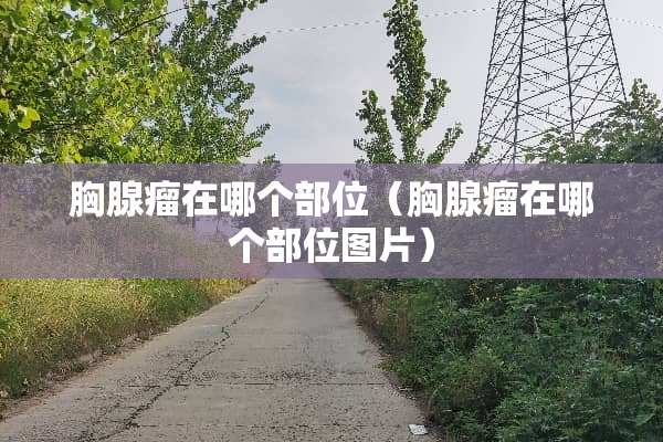胸腺瘤在哪个部位（胸腺瘤在哪个部位图片）
