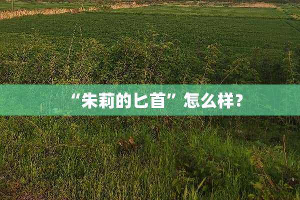 “朱莉的**”怎么样？