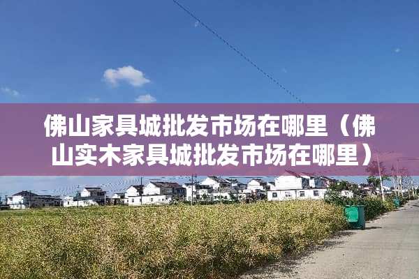 佛山家具城批发市场在哪里（佛山实木家具城批发市场在哪里）
