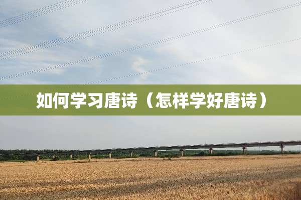 如何学习唐诗（怎样学好唐诗）