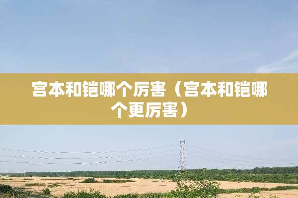宫本和铠哪个厉害（宫本和铠哪个更厉害）