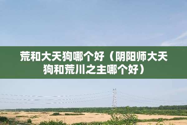荒和大天狗哪个好（阴阳师大天狗和荒川之主哪个好）