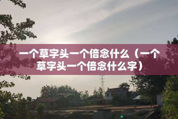 一个草字头一个倍念什么（一个草字头一个倍念什么字）