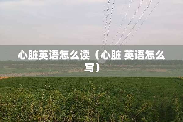 心脏英语怎么读（心脏 英语怎么写）