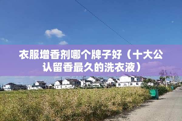 衣服增香剂哪个牌子好（十大公认留香最久的洗衣液）
