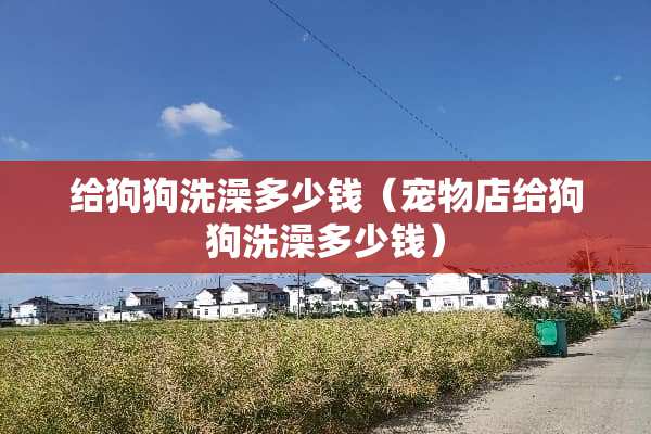 给狗狗洗澡多少钱（宠物店给狗狗洗澡多少钱）