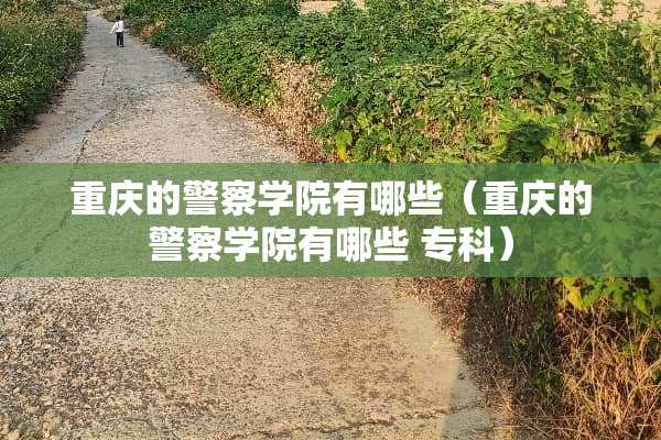 重庆的警察学院有哪些（重庆的警察学院有哪些 专科）