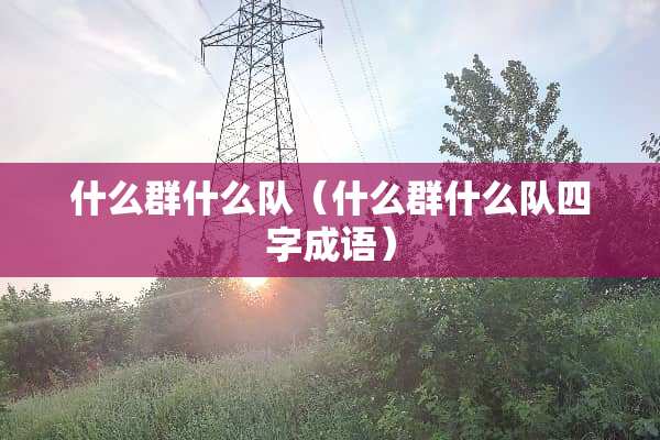 什么群什么队（什么群什么队四字成语）