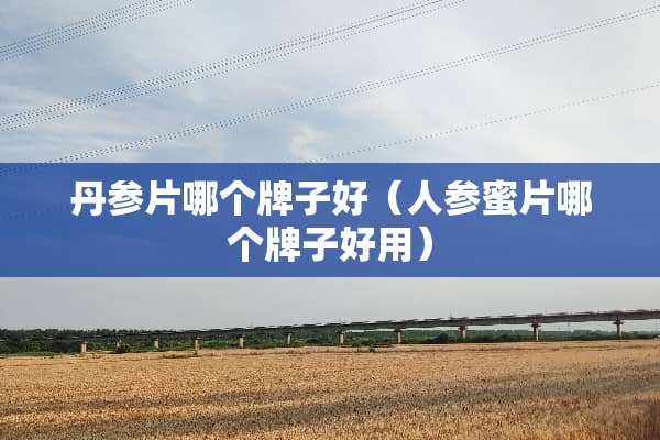 丹参片哪个牌子好（人参蜜片哪个牌子好用）