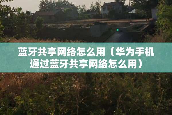 蓝牙共享网络怎么用（华为手机通过蓝牙共享网络怎么用）