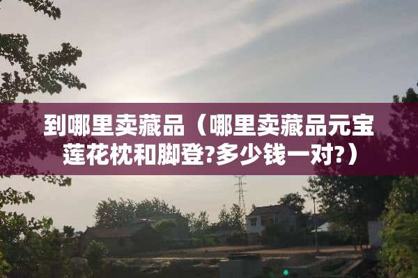 到哪里卖藏品（哪里卖藏品元宝莲花枕和脚登?多少钱一对?）